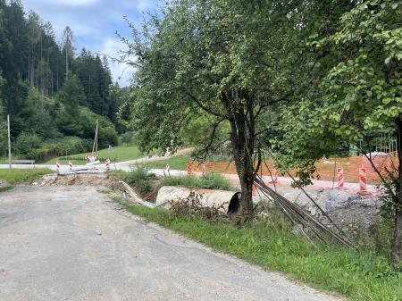 Photo 17. 7. 24, 07 46 05